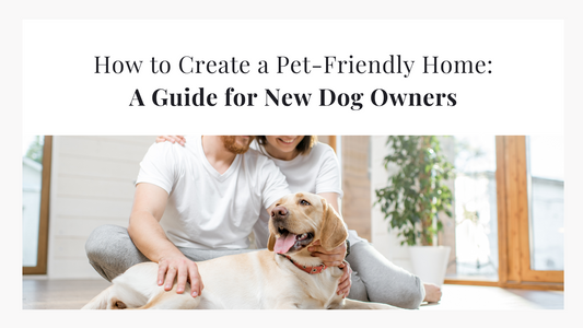 How to Create a Pet-Friendly Home: A Guide for New Dog Owners