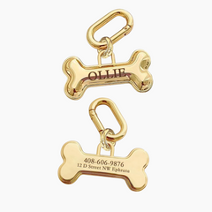 Personalized 3D Pet Name Tag