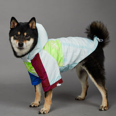 Waterproof Colorblock Dog Raincoat Jacket