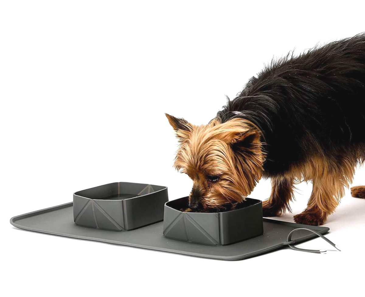 On-The-Go Double Pet Food Bowl