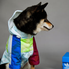 Waterproof Colorblock Dog Raincoat Jacket